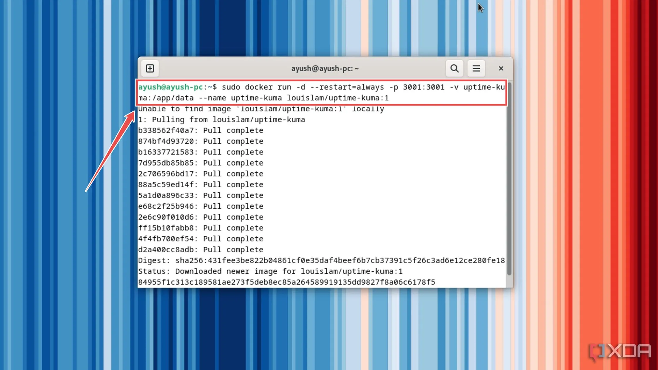 Chạy lệnh Docker để triển khai máy chủ Uptime Kuma