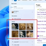 Chế độ xem lưới hình ảnh trong kết quả tìm kiếm Windows 11 giúp dễ dàng nhận diện ảnh