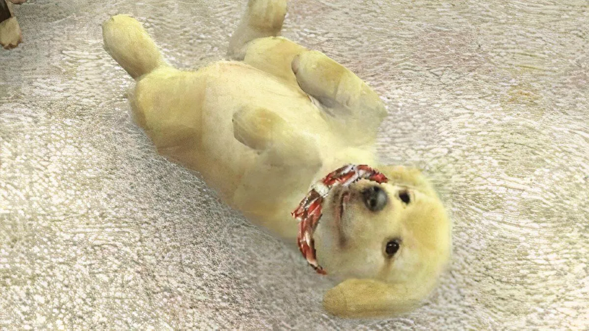 Chú chó Golden Retriever con trong Nintendogs, hình ảnh của game nuôi thú ảo có thể xuất hiện trên Nintendo Switch 2.