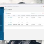 Giao diện tab Network (Mạng) trong Portainer hiển thị các cấu hình mạng bridge mặc định và mạng người dùng tùy chỉnh