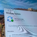 Giao diện trang cập nhật Windows (Windows Update) trên hệ điều hành Windows 11