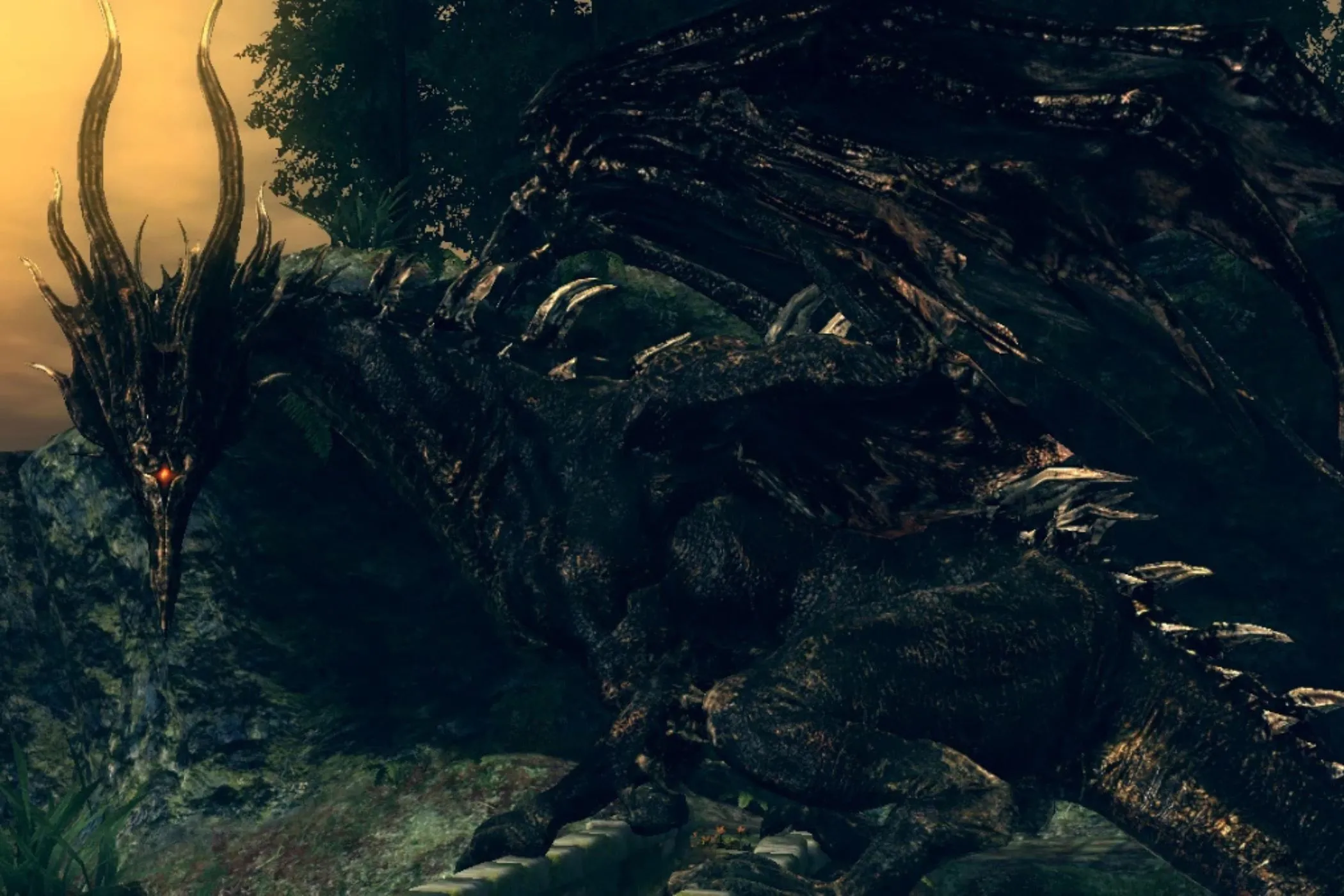 Hắc Long Kalameet của Dark Souls, một trong những trận chiến rồng khó nhằn nhất, xứng đáng có mặt trong Elden Ring Nightreign.