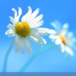 Màn hình Desktop Windows 8 không có nút Start truyền thống