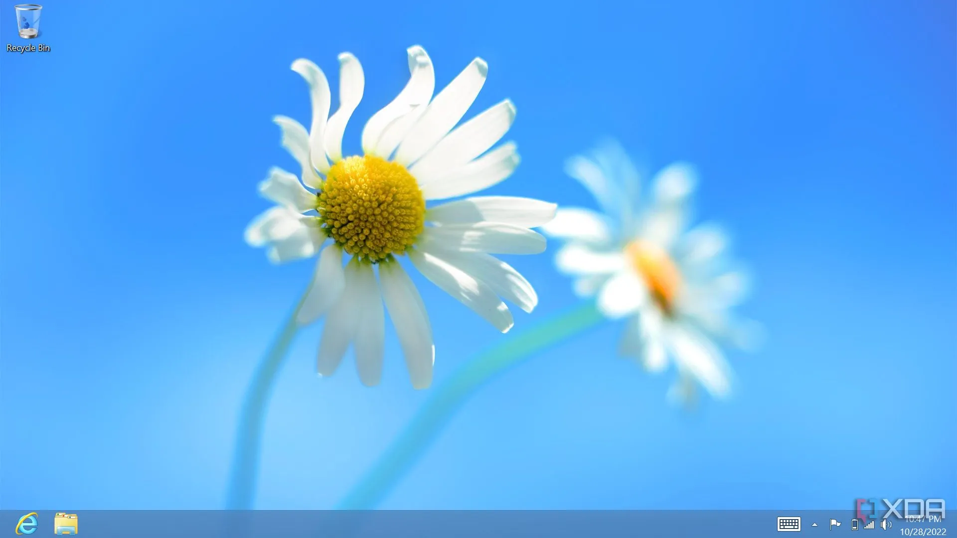 Những Sai Lầm Phổ Biến Cần Tránh Khi Chuyển Từ Windows Sang Linux