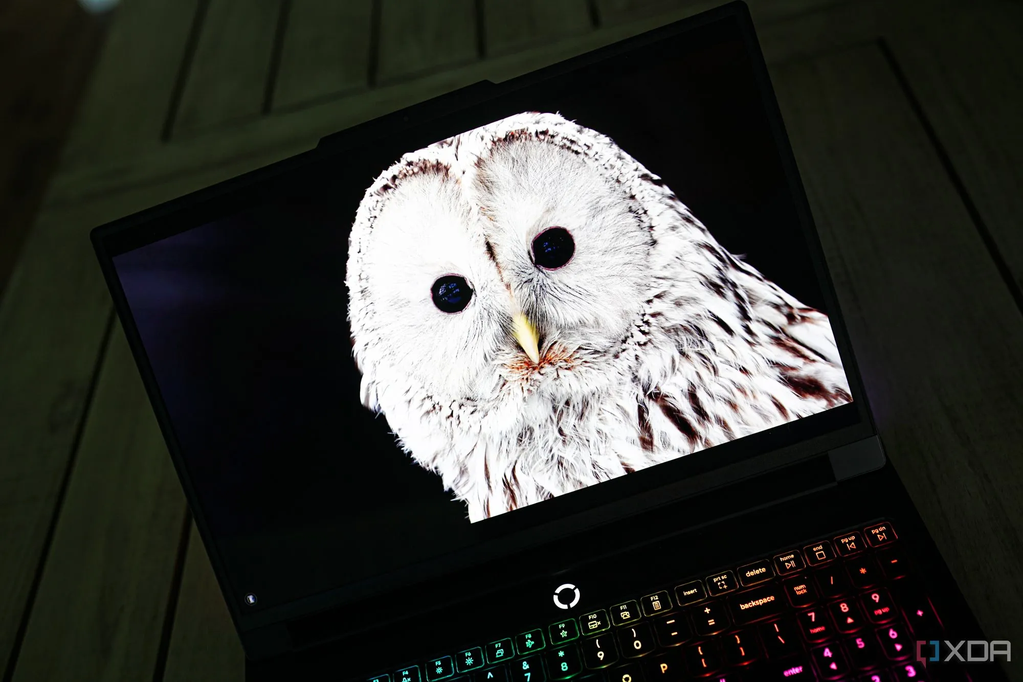 Màn hình OLED 240Hz của Lenovo Legion Pro 7i Gen 10 hiển thị màu sắc sống động
