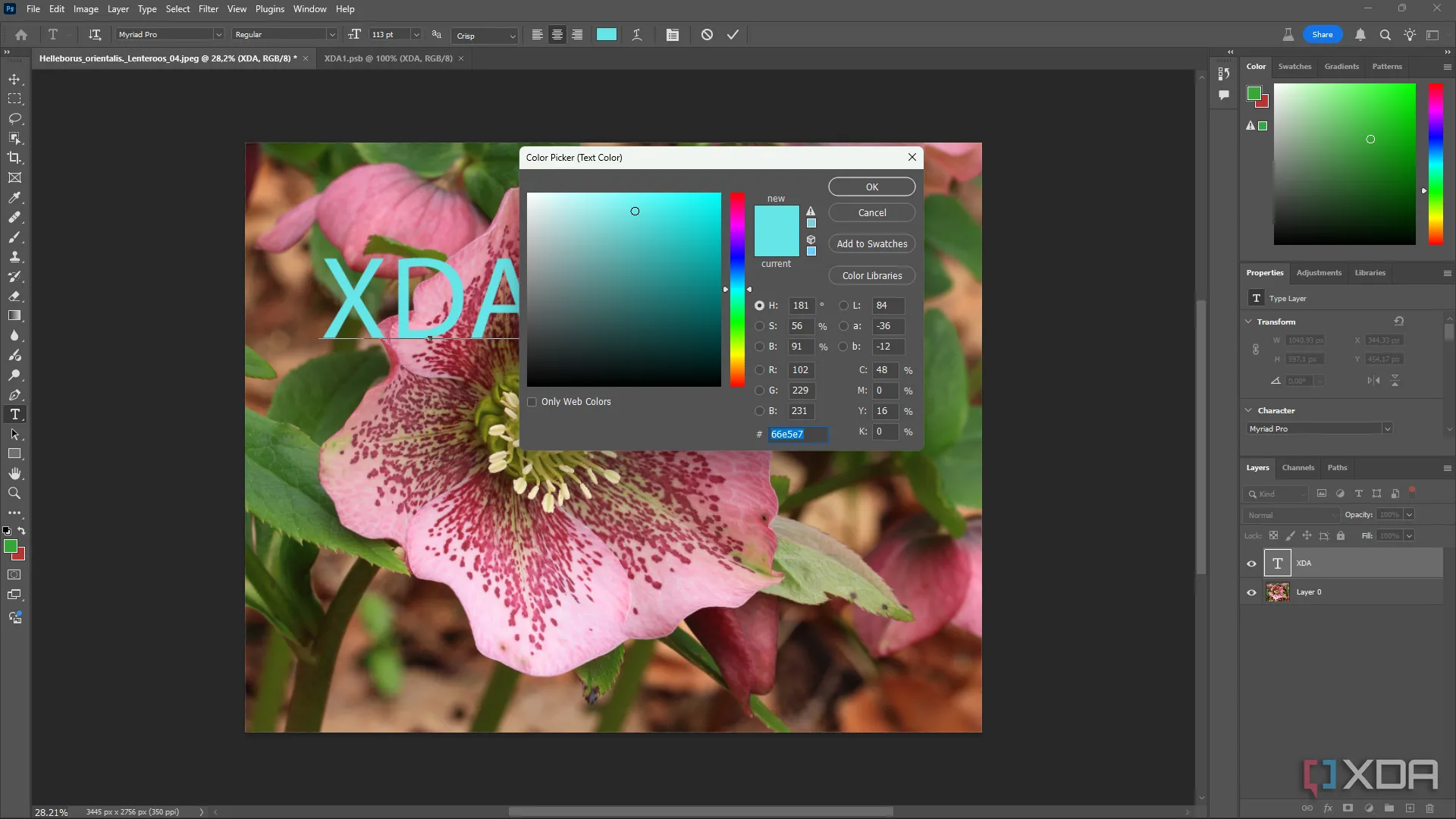 So sánh giao diện làm việc khi chỉnh sửa màu văn bản trong Photoshop và GIMP
