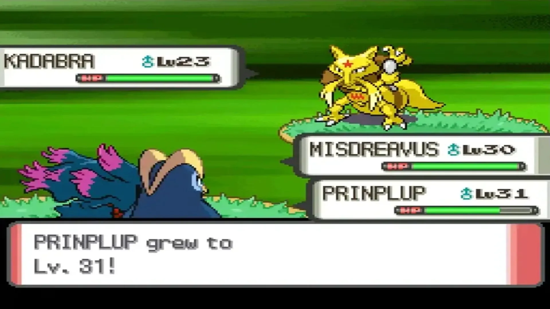 Trận đấu Pokémon đôi trong game Pokémon Pearl trên Nintendo DS